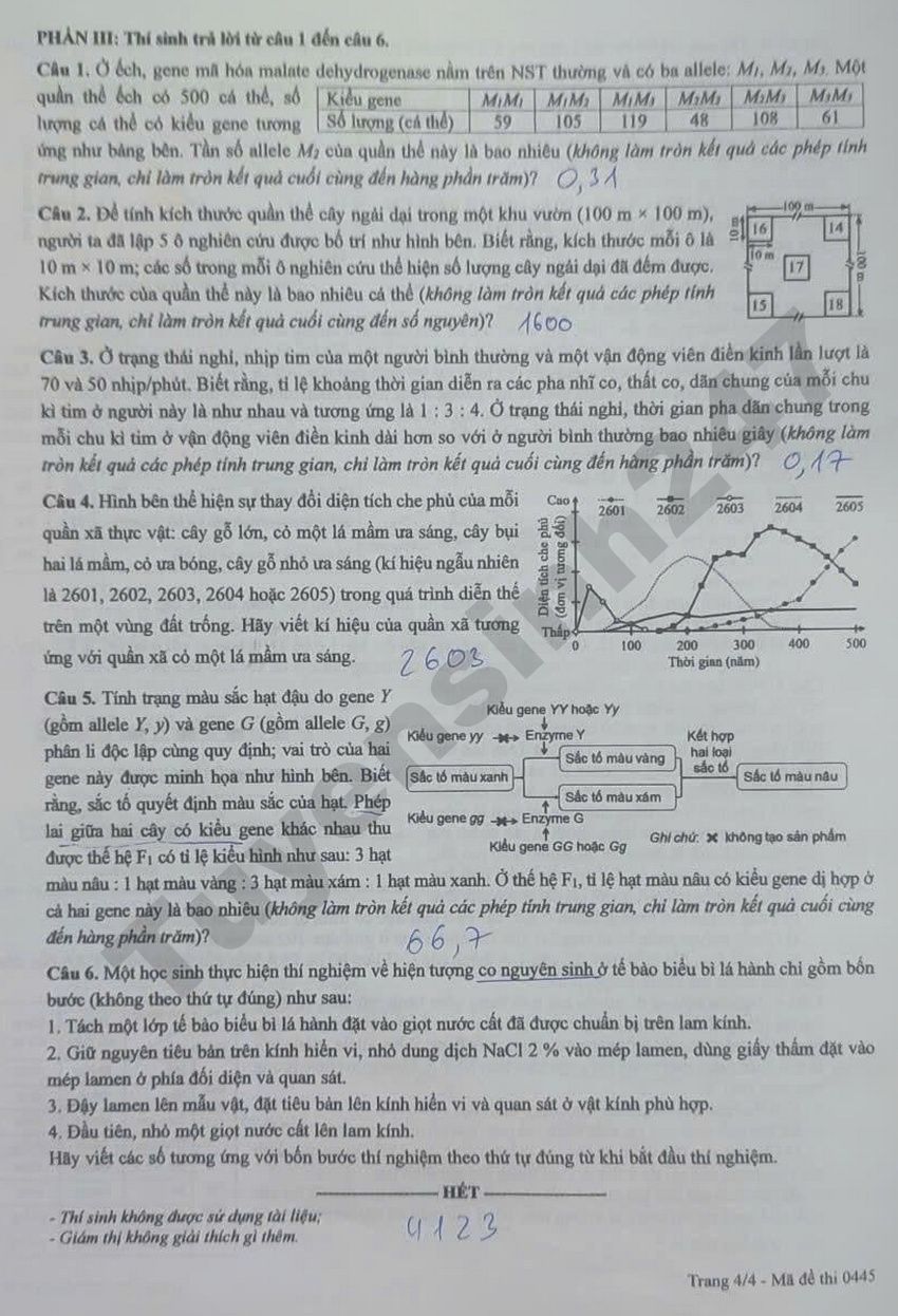 De thi va dap an mon Sinh tot nghiep THPT 2026 - Ma de 0445