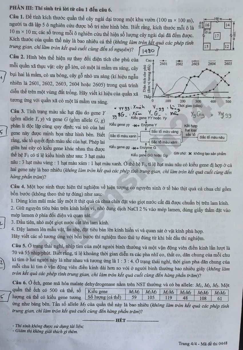 Dap an mon Sinh ky thi tot nghiep THPT 2026 ma de 0448