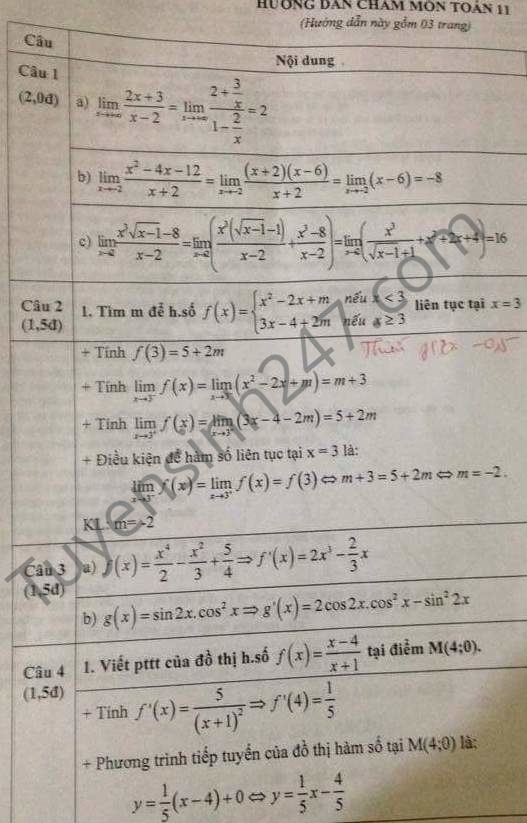 De thi hoc ki 2 lop 11 mon Toan 2015 tinh Thai Binh