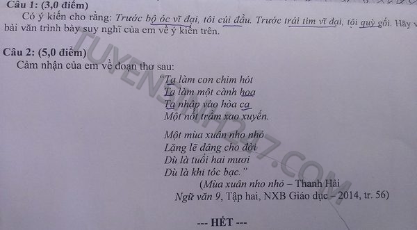 De thi vao lop 10 mon Van Can Tho nam 2015