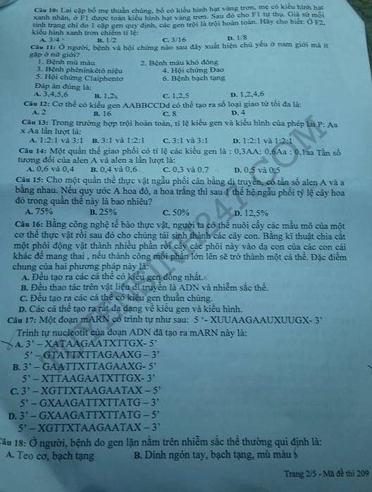 De thi hoc ki 1 lop 12 mon Sinh 2015 - Binh Duong