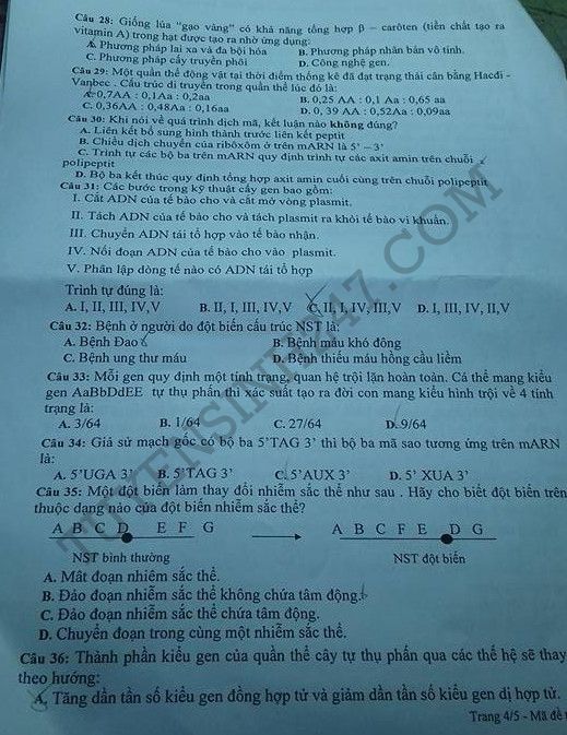 De thi hoc ki 1 lop 12 mon Sinh 2015 - Binh Duong