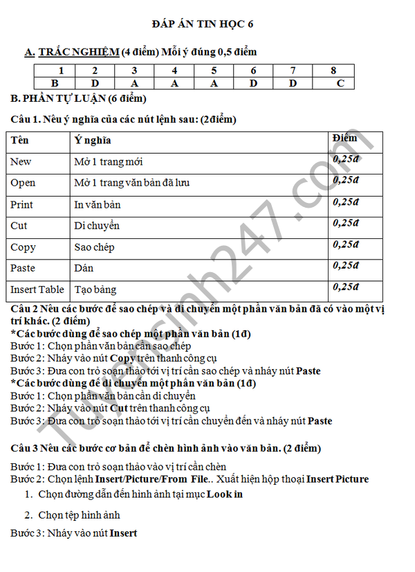 De thi hoc ki 2 lop 6 mon Tin hoc - THCS Thuy Hung 2016