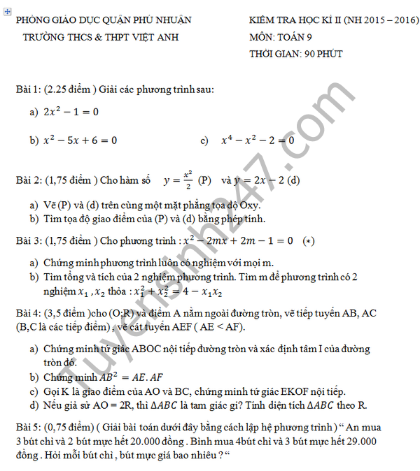 De thi hoc ki 2 lop 9 mon Toan - THCS&THPT Viet Anh 2016