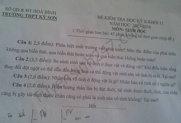 De thi hoc ki 2 lop 11 mon Sinh hoc - THPT Ky Son 2016
