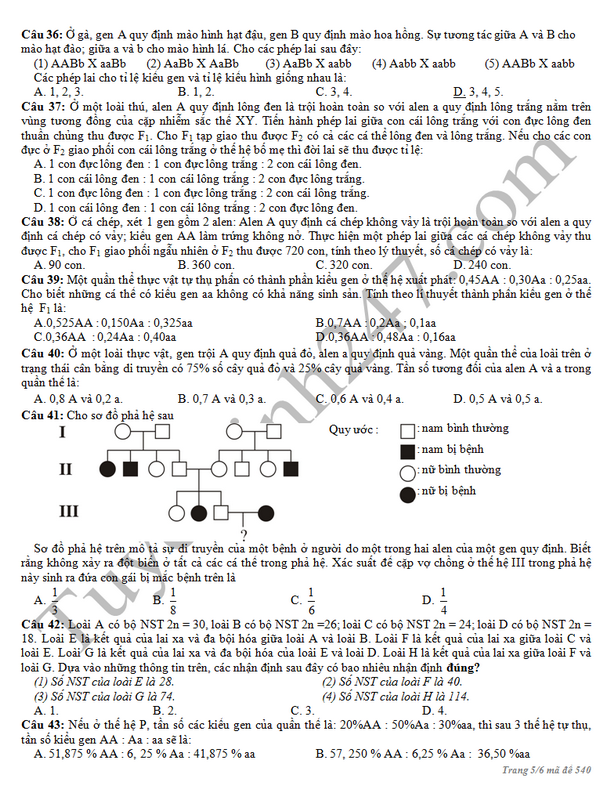 De thi thu THPT mon Sinh - THPT so 2 An Lao