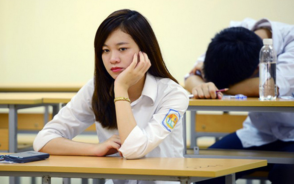 Meo chua hoi hop, cang thang khi vao phong thi