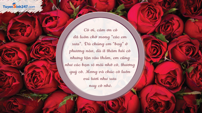 Nhung mau thiep 20/11 dep va y nghia danh tang thay co giao