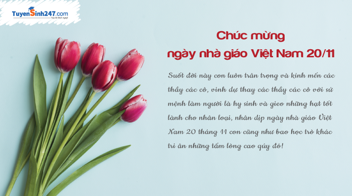 Nhung mau thiep 20/11 dep va y nghia danh tang thay co giao
