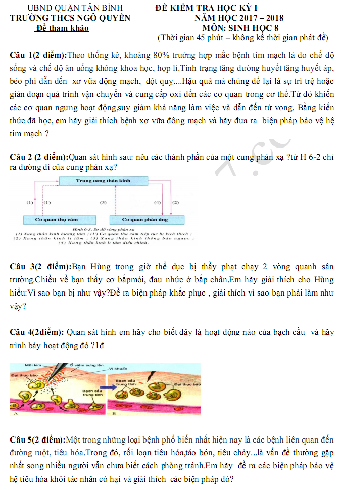 De thi hoc ki 1 lop 8 mon Sinh 2017 - THCS Ngo Quyen
