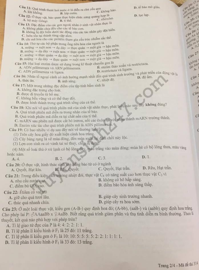 De thi hoc ki 1 lop 12 mon Sinh 2017 - 2018 Vinh Phuc