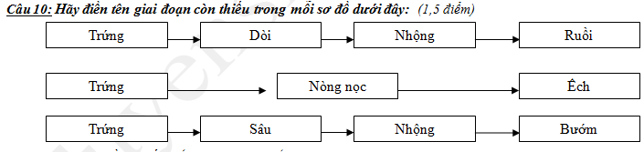 De thi ki 2 lop 5 mon Khoa hoc 2018 - TH Tran Thoi 2