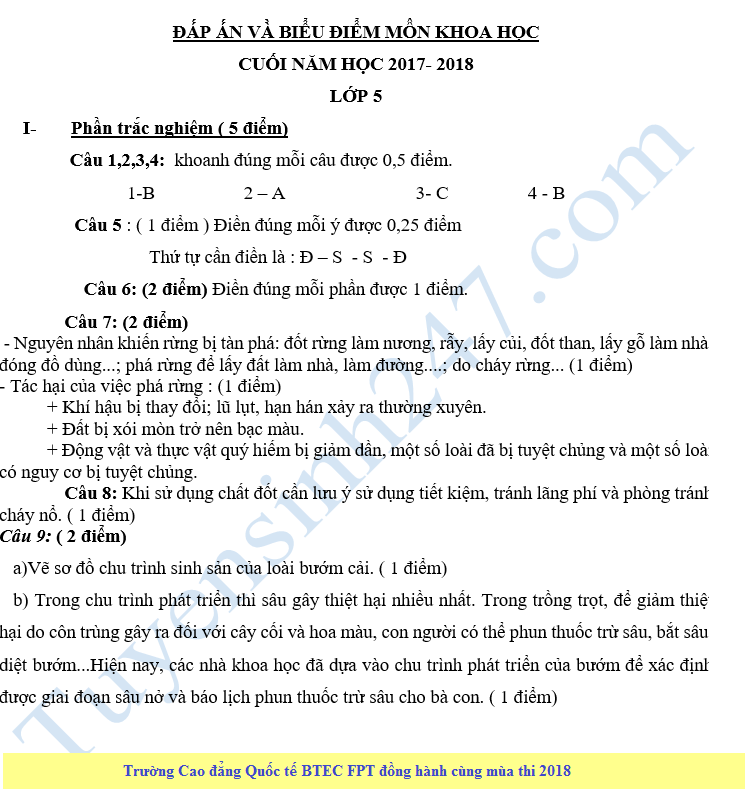 De kiem tra hoc ki 2 lop 5 mon Khoa hoc - Tieu hoc Dai Dong 2018