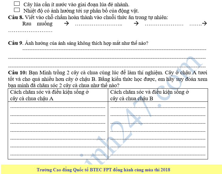 De thi hoc ki 2 lop 4 mon Khoa hoc - Tieu hoc Trung Vuong 2018