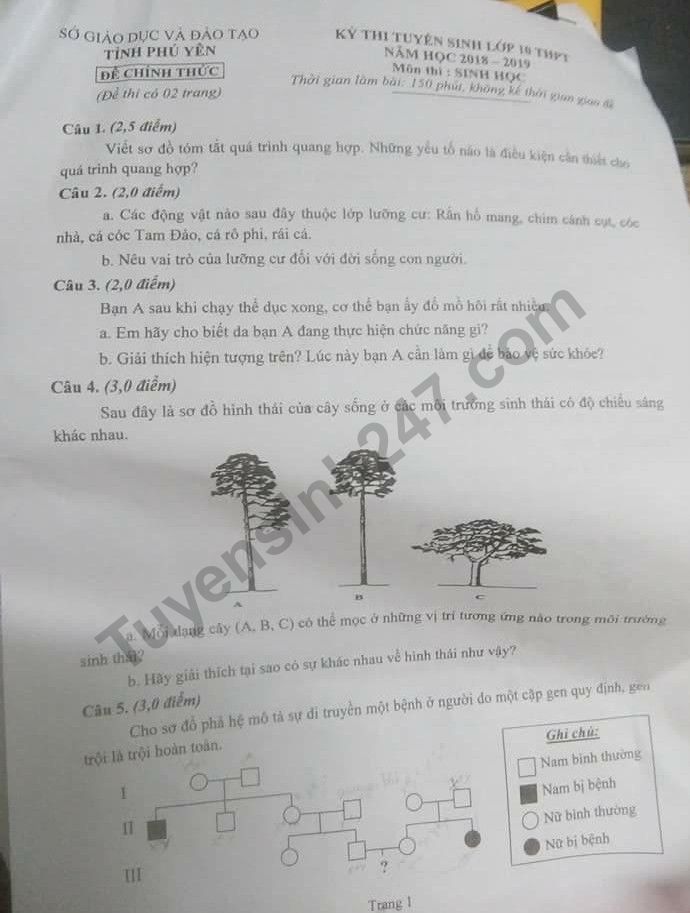 Dap an va de thi vao lop 10 mon Sinh hoc tinh Phu Yen nam 2018