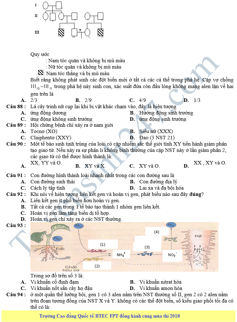 De thi thu THPT QG mon Sinh lan 1 nam 2018 - THPT Phung Khac Khoan