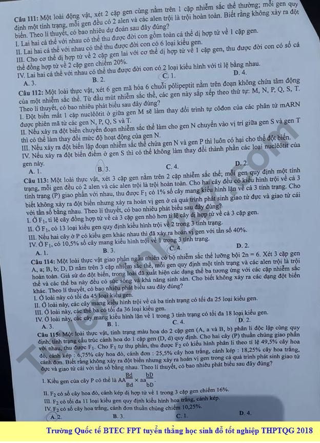 Dap an cua Bo GD de thi THPT Quoc Gia 2018 mon Sinh - ma de 205