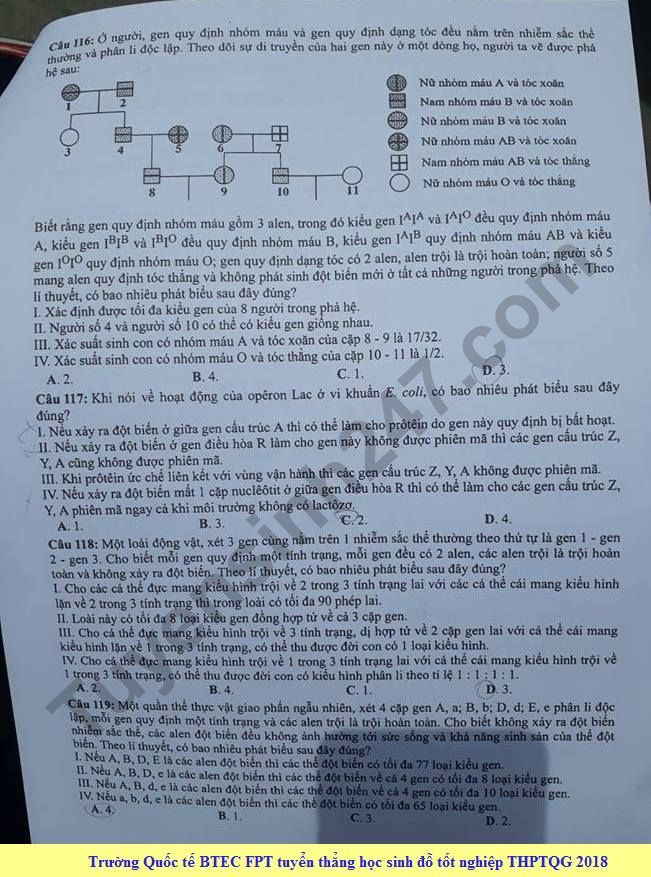 Dap an cua Bo GD de thi THPT Quoc Gia 2018 mon Sinh - ma de 205