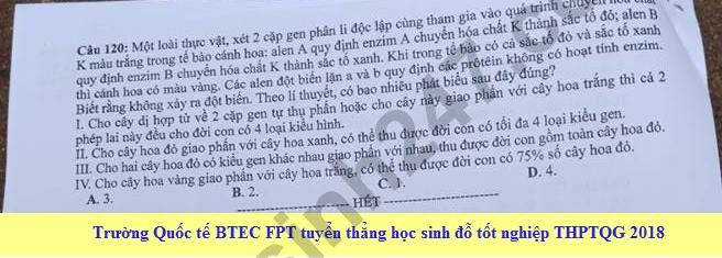 Dap an cua Bo GD de thi THPT Quoc Gia 2018 mon Sinh - ma de 205