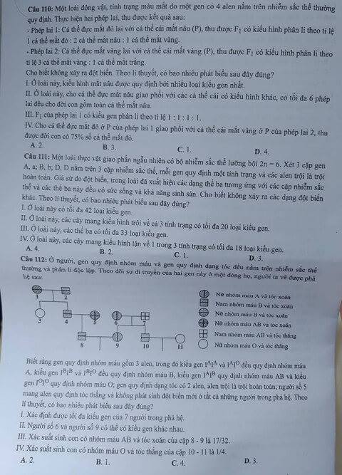 Dap an cua Bo GD de thi THPT Quoc Gia 2018 mon Sinh-ma de 218
