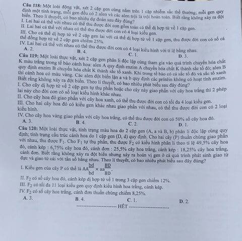 Dap an cua Bo GD de thi THPT Quoc Gia 2018 mon Sinh-ma de 218