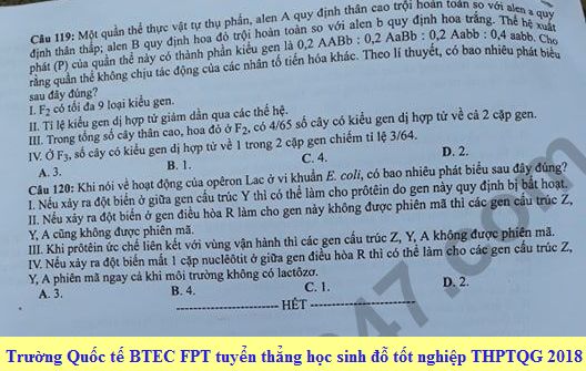 Dap an cua Bo GD de thi THPT Quoc Gia 2018 mon Sinh - ma de 206