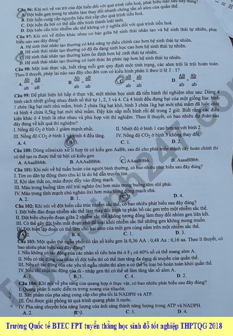 Dap an cua Bo GD de thi THPT Quoc Gia 2018 mon Sinh - ma de 206