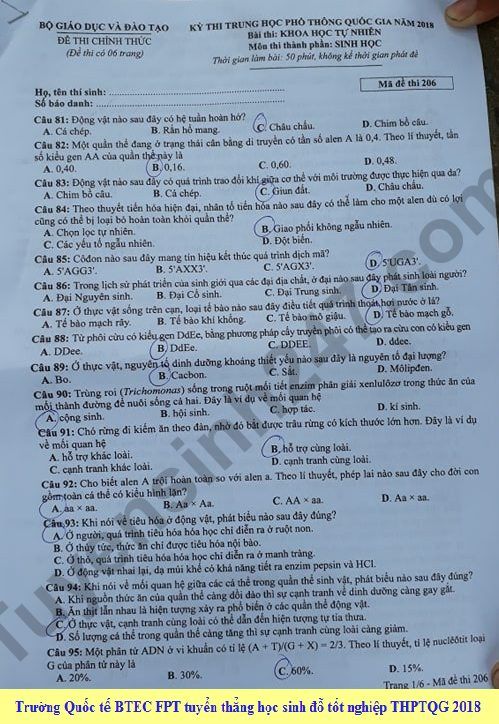 Dap an cua Bo GD de thi THPT Quoc Gia 2018 mon Sinh - ma de 206