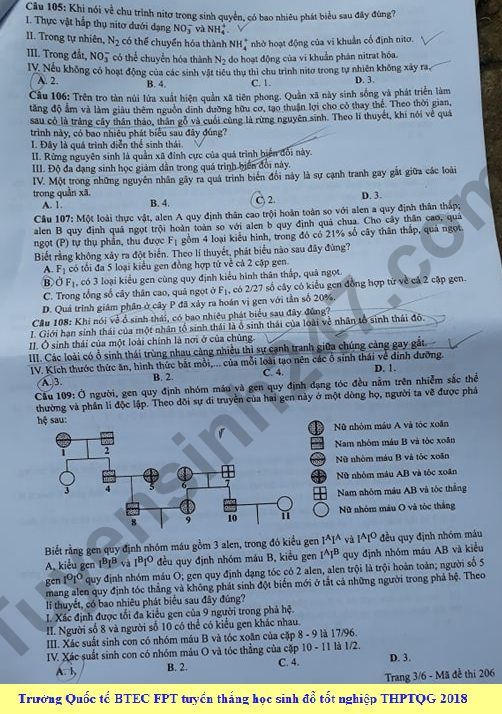Dap an cua Bo GD de thi THPT Quoc Gia 2018 mon Sinh - ma de 206