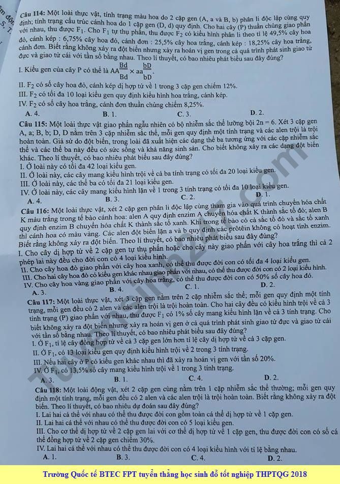 Dap an cua Bo GD de thi THPT Quoc Gia 2018 mon Sinh - ma de 206
