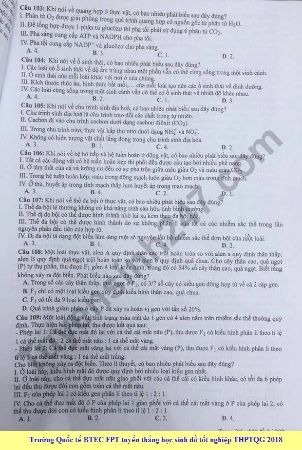 Dap an cua Bo GD de thi mon Sinh THPT Quoc Gia 2018 - ma de 207