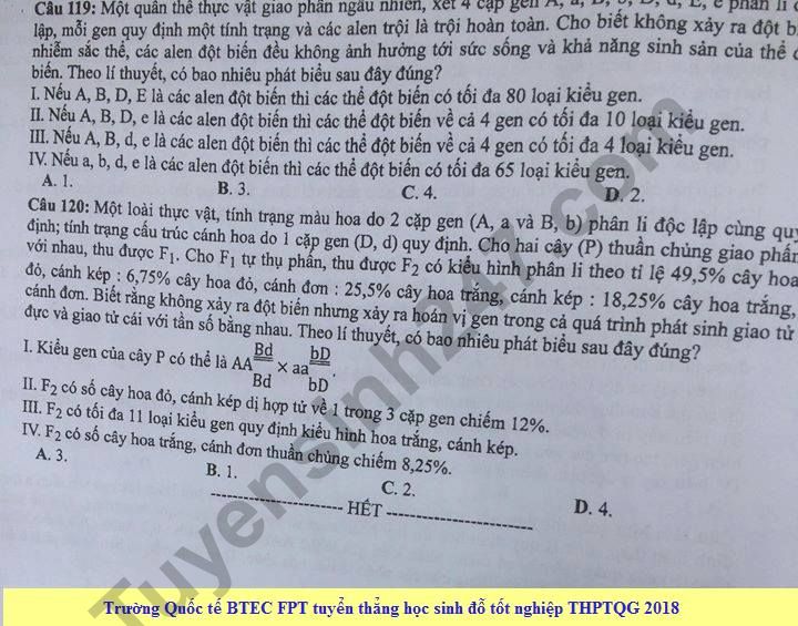 Dap an cua Bo GD de thi mon Sinh THPT Quoc Gia 2018 - ma de 207