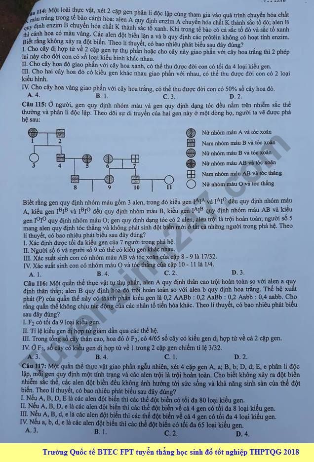 Dap an cua Bo GD de thi THPT Quoc Gia 2018 mon Sinh - ma de 208