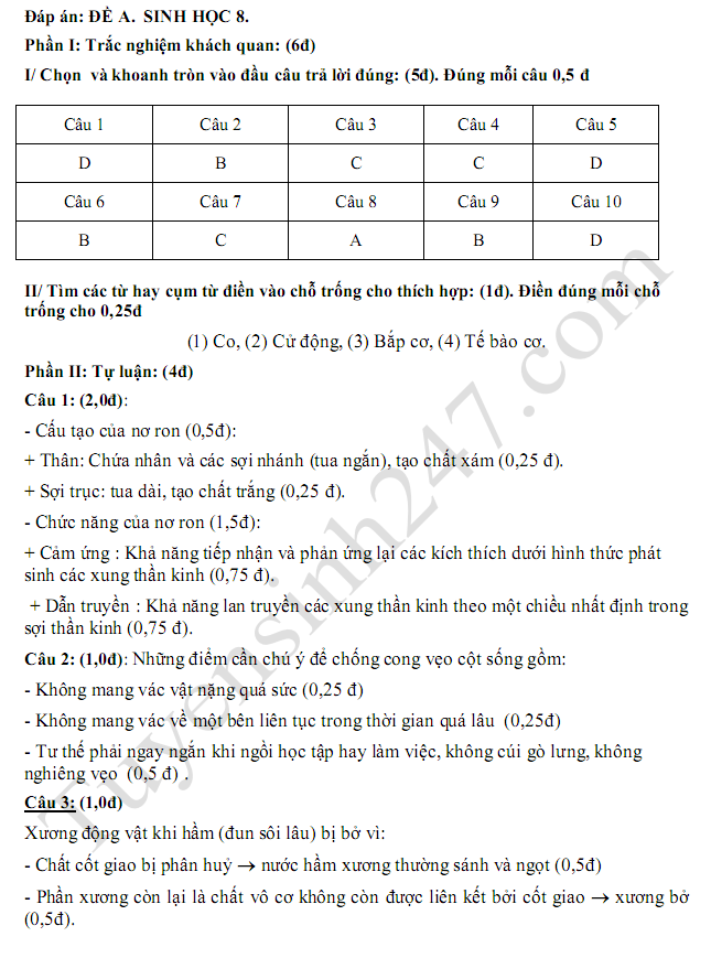 De thi giua ki 1 lop 8 mon Sinh 2018 - THCS Le Loi