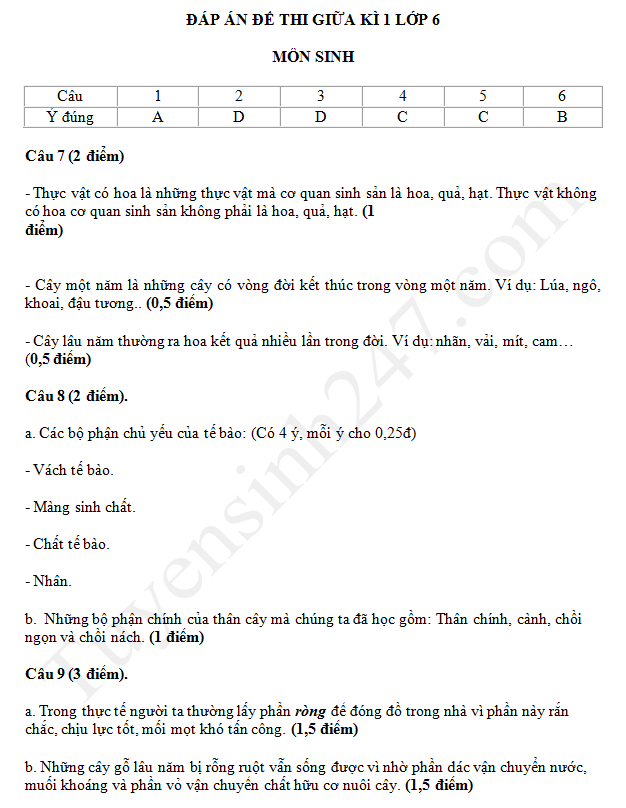 De thi giua ki 1 lop 6 mon Sinh 2018 - THCS Le Loi