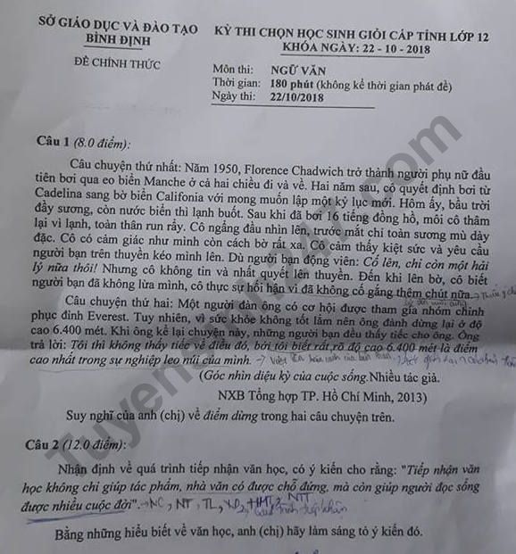 De thi chon hoc sinh gioi cap tinh lop 12 mon Van Binh Dinh 2019