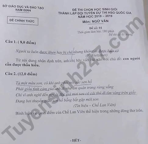 De thi chon hoc sinh gioi QG mon Van 2019 - So GD Nam Dinh