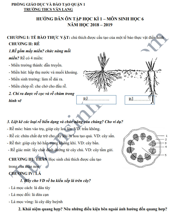 De cuong on tap ki 1 lop 6 mon Sinh - THCS Van Lang nam 2018