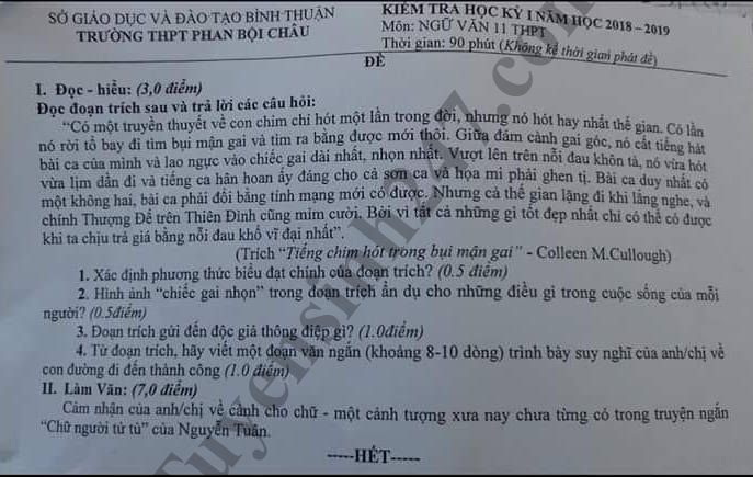 De thi hoc ky 1 lop 11 mon Van - THPT Phan Boi Chau nam 2018