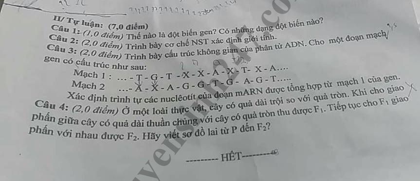 De thi hoc ky 1 lop 9 mon Sinh - Phong GD Thi tran Ben Cat 2018