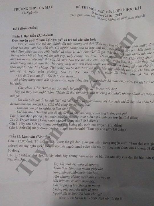 De thi hoc ky 1 lop 10 mon Van - THPT Ca Mau nam 2018
