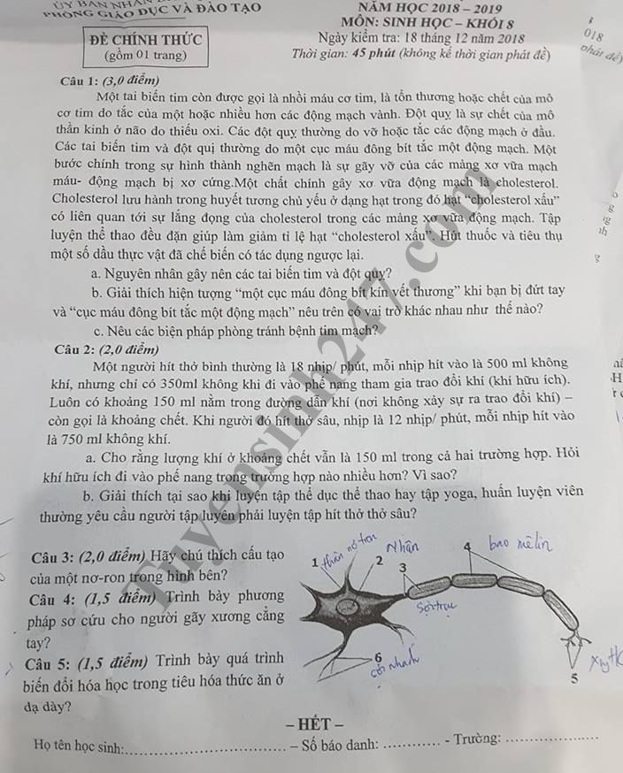 De thi hoc ky 1 lop 8 mon Sinh - Phong GD Quan 1 nam 2018
