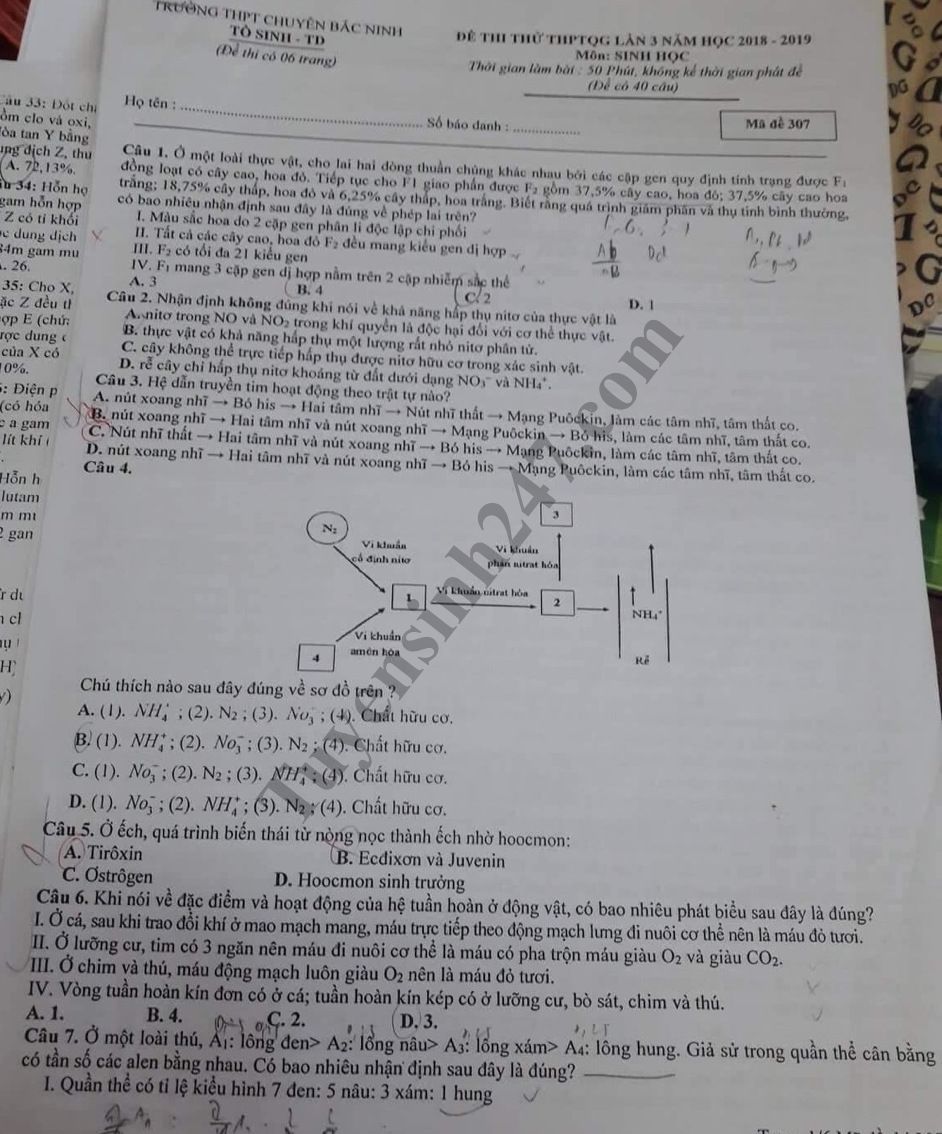 De thi thu THPT mon Sinh - THPT Chuyen Bac Ninh lan 3 nam 2019