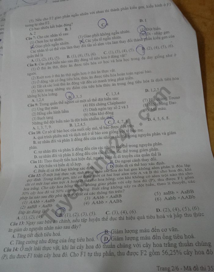 De thi thu THPTQG mon Sinh Chuyen Bac Lieu 2019 lan 2