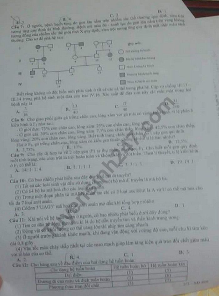 De thi thu THPTQG 2019 mon Sinh - THPT Chuyen Luong Van Tuy lan 1