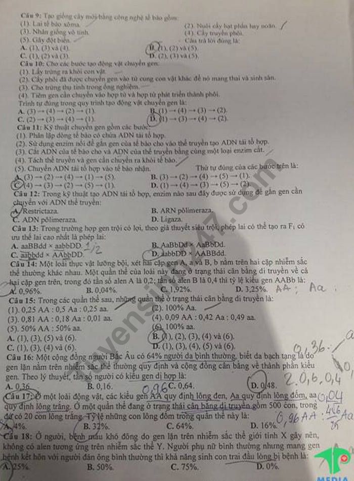 De kiem tra giua ki 2 lop 12 mon Sinh nam 2019 - THPT Tran Phu