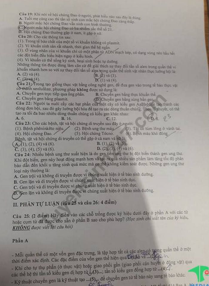De kiem tra giua ki 2 lop 12 mon Sinh nam 2019 - THPT Tran Phu