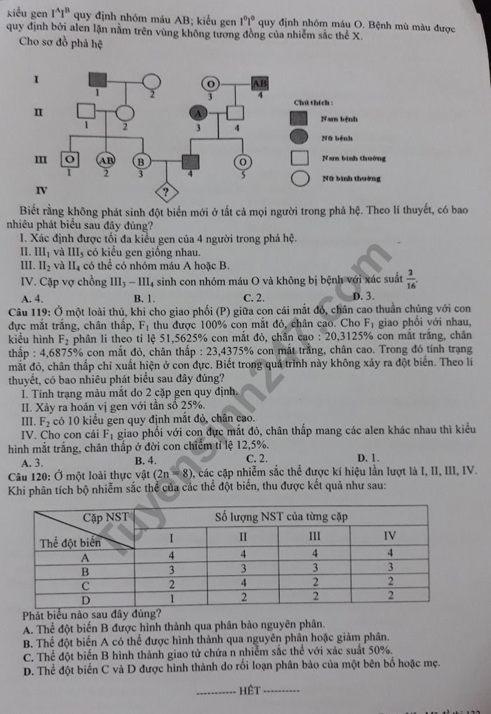 De thi thu THPTQG nam 2019 mon Sinh - Chuyen DH Vinh