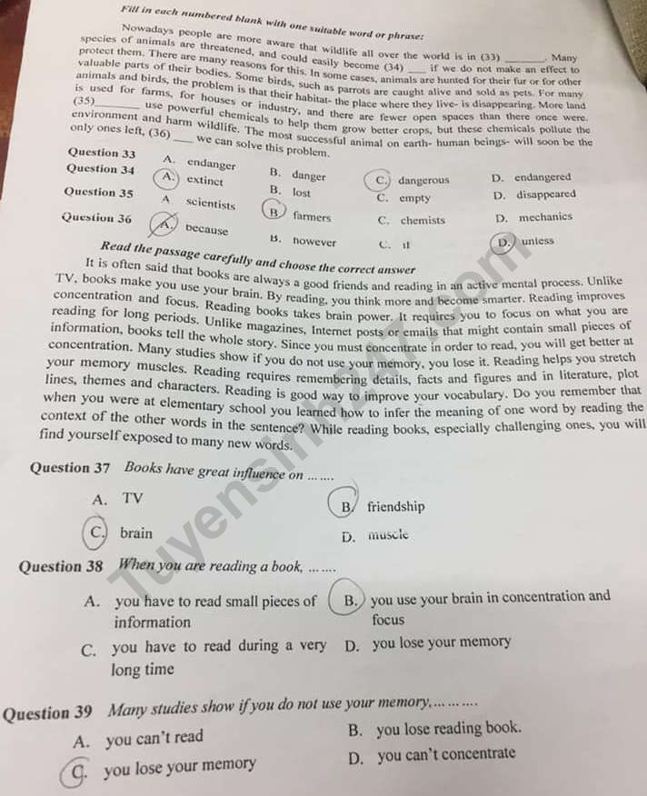 De thi giua ki 2 lop 12 mon Anh 2019 - THPT Cu Chi