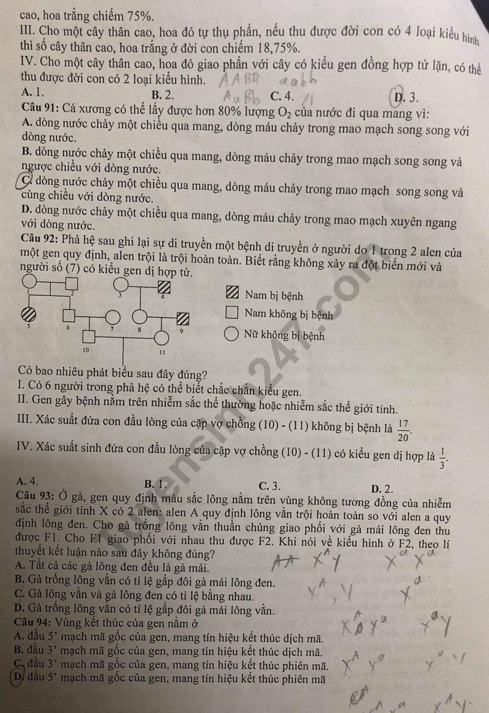 De thi thu THPTQG 2019 mon Sinh - Chuyen Cao Bang
